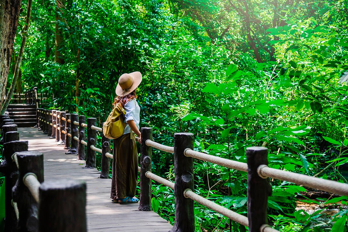 Tree-Filled Neighborhoods: The Ultimate Secret to Boosting Heart Health